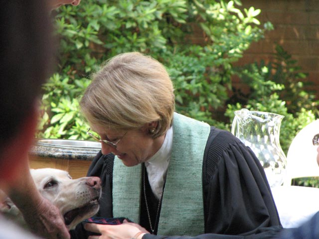 Blessing A Dog Religious Service Emory Presbyterian Church