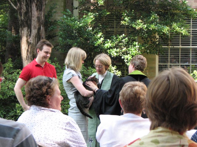 Blessing A Cat Religious Service Emory Presbyterian Church