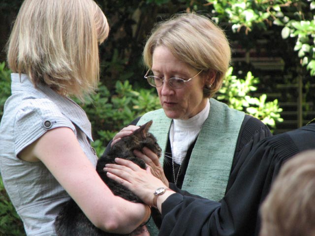 Blessing A Cat Religious Service Emory Presbyterian Church