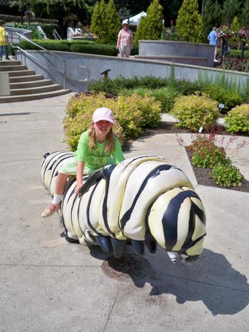 Butterfly Maze Akron Zoo