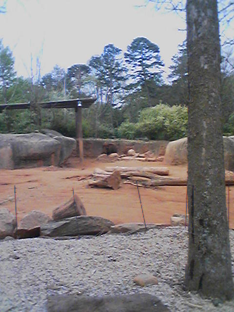 Atlanta Zoo