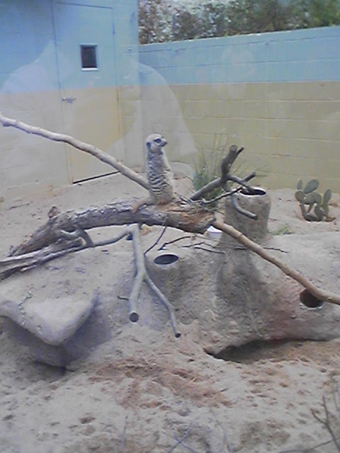 Atlanta Zoo