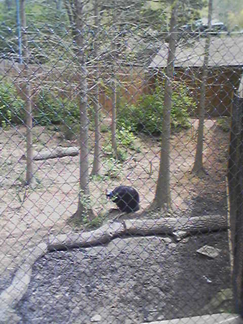 Atlanta Zoo
