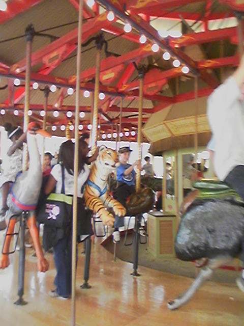 Atlanta Zoo - Kid Rides